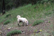 200907_24_30_0252.JPG 200907_24_30_0252.JPG