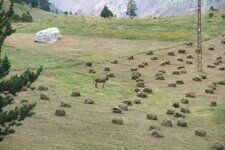 200907_24_30_0268.JPG 200907_24_30_0268.JPG