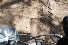 200907_24_30_0279.JPG 200907_24_30_0279.JPG