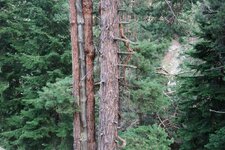 200907_24_30_0298.JPG 200907_24_30_0298.JPG