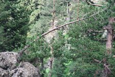 200907_24_30_0305.JPG 200907_24_30_0305.JPG