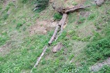 200907_24_30_0313.JPG 200907_24_30_0313.JPG