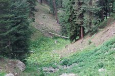 200907_24_30_0315.JPG 200907_24_30_0315.JPG