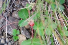 200907_24_30_0323.JPG 200907_24_30_0323.JPG