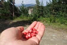 200907_24_30_0326.JPG 200907_24_30_0326.JPG