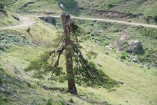 200907_24_30_0338.JPG 200907_24_30_0338.JPG