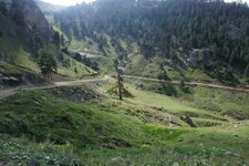 200907_24_30_0339.JPG 200907_24_30_0339.JPG