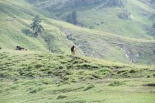 200907_24_30_0344.JPG 200907_24_30_0344.JPG