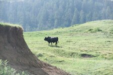 200907_24_30_0352.JPG 200907_24_30_0352.JPG