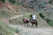 200907_24_30_0367.JPG 200907_24_30_0367.JPG