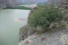 200907_24_30_0389.JPG 200907_24_30_0389.JPG