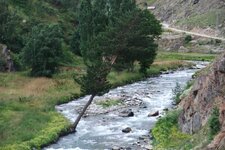 200907_24_30_0530.JPG 200907_24_30_0530.JPG