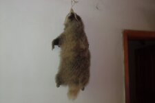 200907_24_30_0541.JPG 200907_24_30_0541.JPG