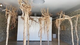 20190806_135137.jpg 20190806_135137.jpg