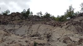 20190807_112117.jpg 20190807_112117.jpg