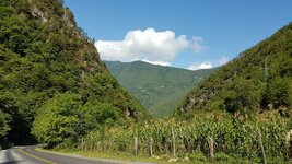 20190809_091232.jpg 20190809_091232.jpg