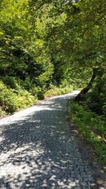 20190809_114204.jpg 20190809_114204.jpg