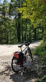 20190809_120724.jpg 20190809_120724.jpg