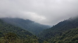 20190809_134327.jpg 20190809_134327.jpg