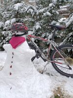 IMG-20220123-WA0016.jpg