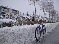 IMG_20220125_140742.jpg IMG_20220125_140742.jpg