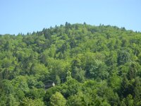 trans_20120724_812.JPG trans_20120724_812.JPG