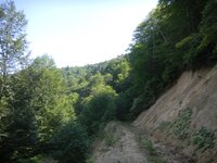 trans_20120724_818.JPG trans_20120724_818.JPG