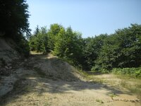 trans_20120724_821.JPG trans_20120724_821.JPG