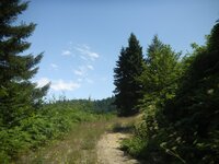 trans_20120724_838.JPG trans_20120724_838.JPG