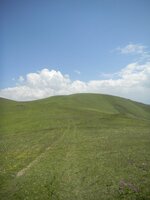 trans_20120724_1026.JPG trans_20120724_1026.JPG