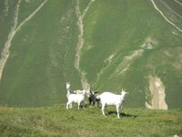 trans_20120724_1150.JPG trans_20120724_1150.JPG