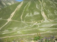 trans_20120724_1159.JPG trans_20120724_1159.JPG