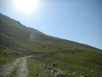 trans_20120724_1166.JPG trans_20120724_1166.JPG