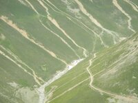 trans_20120724_1142.JPG trans_20120724_1142.JPG