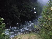 trans_20120724_1352.JPG trans_20120724_1352.JPG