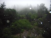 trans_20120724_1354.JPG trans_20120724_1354.JPG