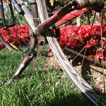 273785586_10223919602390561_8718821816136051959_n.jpg 273785586_10223919602390561_8718821816136051959_n.jpg