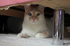 IMG_8097.JPG