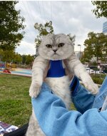 IMG_20220228_004332.jpg