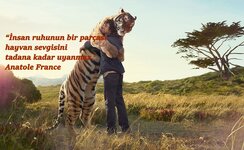 2f24b778-95b8-4630-8692-29ad7a47e31c_0.jpg