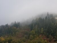 20161002_171718 (1024x768).jpg