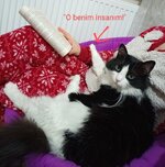 IMG20220313221152~4.jpg