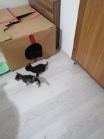 IMG_20220401_014755.jpg