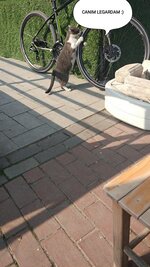 IMG_20220407_200301.jpg IMG_20220407_200301.jpg