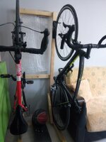 IMG_20220408_130733.jpg IMG_20220408_130733.jpg