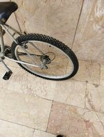 IMG_20220417_083030.jpg