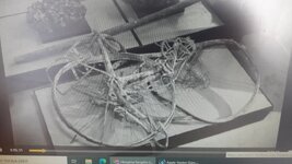 20220427_113448 (1).jpg