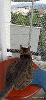 IMG_20220512_181856.jpg IMG_20220512_181856.jpg