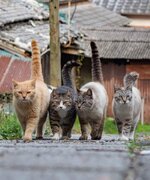 FB_IMG_1652873229890.jpg FB_IMG_1652873229890.jpg