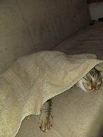 IMG-20220518-WA0015.jpg IMG-20220518-WA0015.jpg